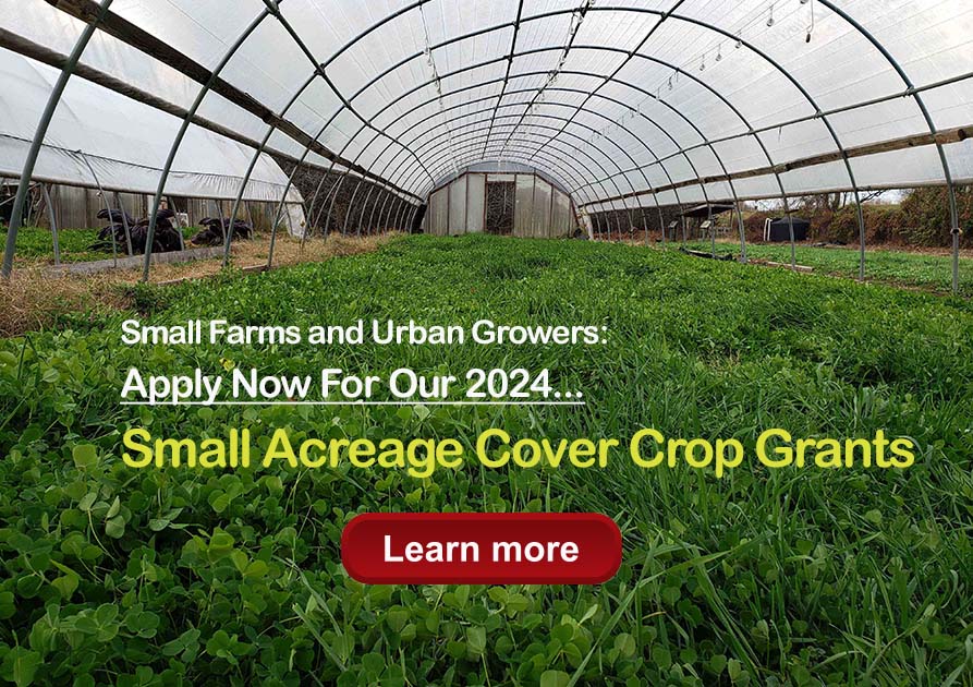 Small Farm and Urban Agriculture Cover Crop Grants - picture of cover crops